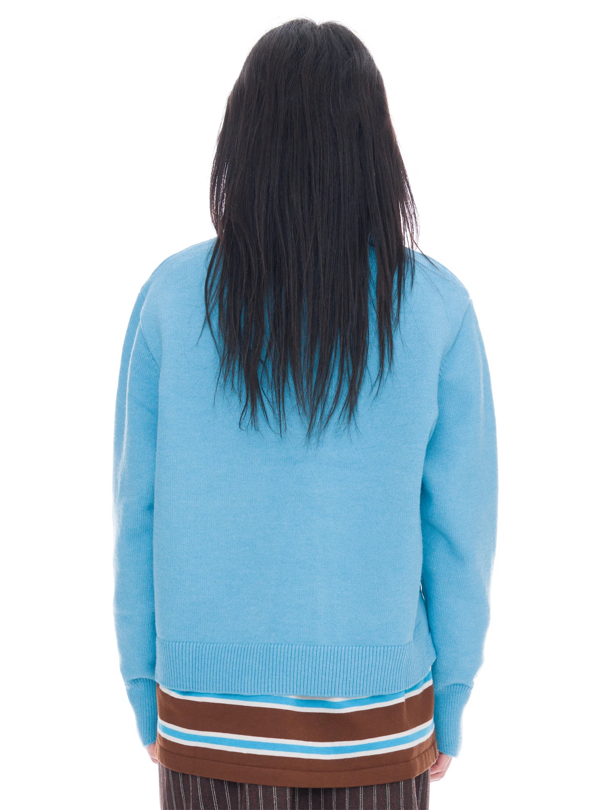 A person viewed from the back wearing a light blue knit sweater with brown, white, and light blue horizontal stripes at the hem, against a plain white background.