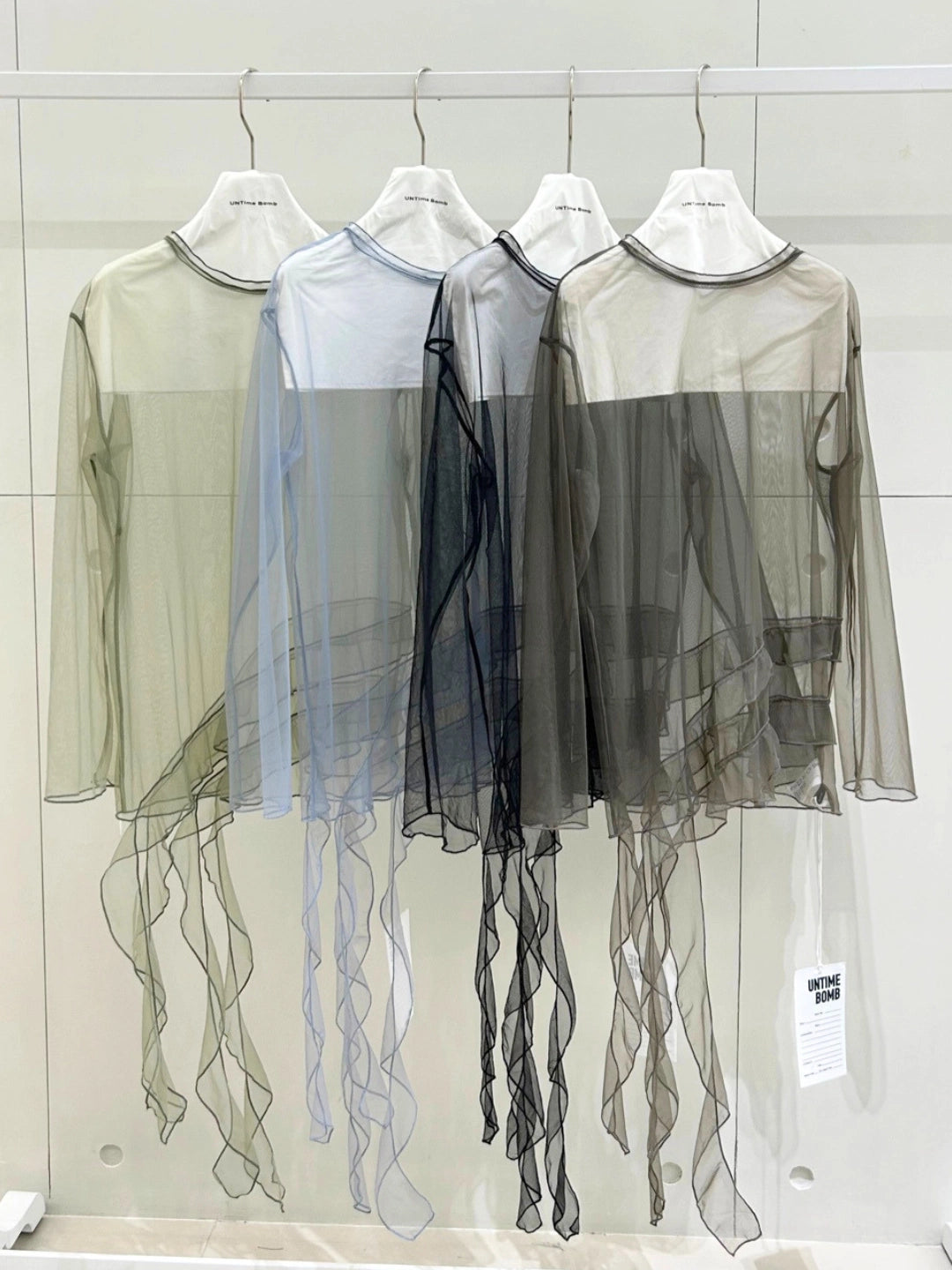 Ruffled Sheer Organza Long Sleeve Top